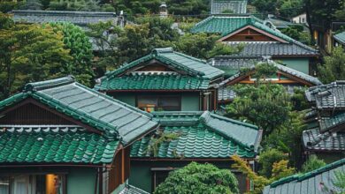 Photo of I Ended up in a Town Where Every Roof Was Painted Green – When I Saw Who the Locals Were, I Fled