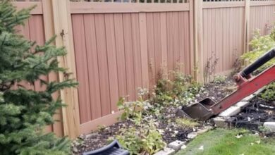 Photo of My Entitled Neighbor Forced Me to Take down My Old Fence – How Karma Got Her Back Is Unbelievable