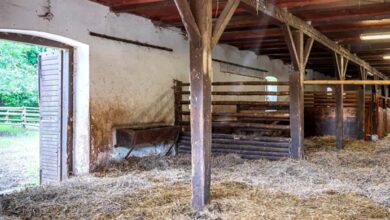 Photo of My In-Laws Told My Kids to Sleep in a Shed – Their Reason Shocked Me, but Karma Soon Intervened