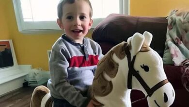 Photo of My Ex-husband Gifted Our Kid a Rocking Horse – When I Saw What Was Inside, I Called My Lawyer