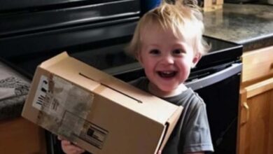 Photo of My Son Brought Home a ‘Present’ from Our Neighbor — Upon Seeing the Box’s Contents, I Chose to Relocate