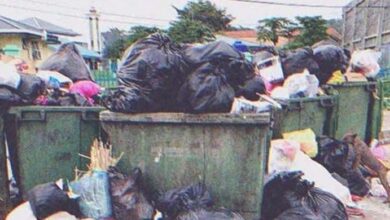 Photo of Homeless Lady Finds $1 Million in Trash Bin, Returns It to Ungrateful Owner Who Kicks Her Out