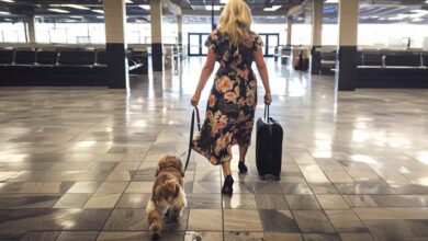 Photo of Entitled Woman Lets Her Dog Poop on The Airport Floor & Rudely Orders Staff to Clean It – So I Taught Her an Unforgettable Lesson