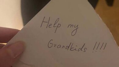 Photo of Woman Purchases Vintage Jacket at Secondhand Store and Discovers Note in Pocket Begging, ‘Help My Grandchildren’