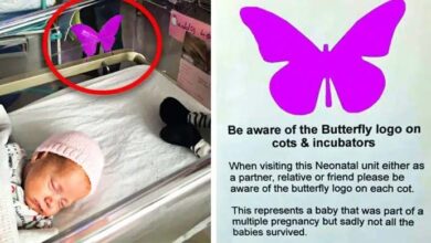 Photo of If You See A Purple Butterfly Sticker Near A Newborn, You Need To Know What It Means