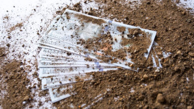 Photo of Poor Man Removes His Lawn and Discovers His Entire Yard Is Covered in Dollars