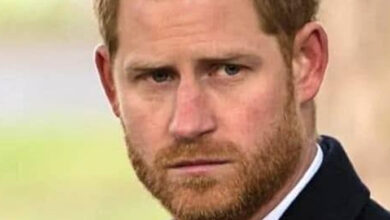 Photo of DEADLY FALL  Prince Harry is devastated with grief. With heavy hearts, we announce the passing.