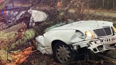 Photo of Beloved comedian died today in a tragic accident after a large tree branch fell on top of him