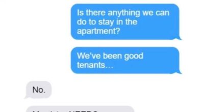 Photo of Our landlady evicted us so her sister could have the apartment we had renovated — but karma had other plans for her