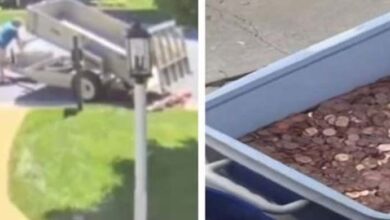 Photo of After Dad Dumped 80,000 Pennies On Mom’s Lawn For Child Support, His Daughter Got The Last Laugh