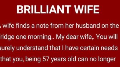 Photo of BRILLIANT WIFE!! (FUNNY STORY)