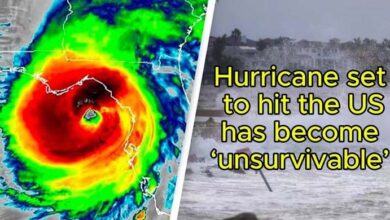 Photo of Hurricane set to hit the US has become ‘unsurvivable’ as experts wa:rn of catastrophic impact