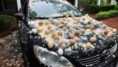 Photo of My Neighbor Egged My Car Over Halloween Decorations—You Won’t Believe His Reason