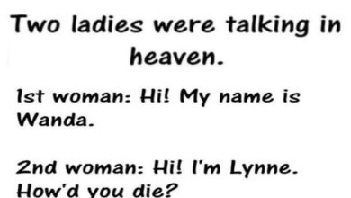 Photo of When Two Women meet in Heaven – LOL