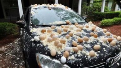 Photo of My Neighbor Egged My Car Over Halloween Decorations—You Won’t Believe His Reason