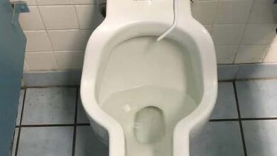 Photo of Unique Toilet Design at Huntsville Space Center: Exploring the Reason Behind the Women’s Urinal