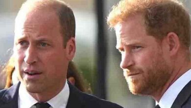 Photo of HARRY AND WILLIAM ROCKED BY SHOCK FAMILY DEATH