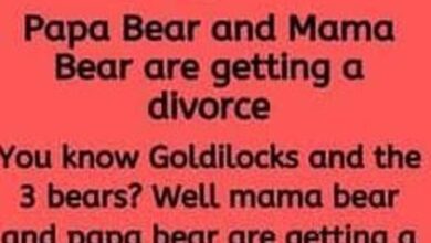 Photo of Papa Bear and Mama Bear are getting a divorce.