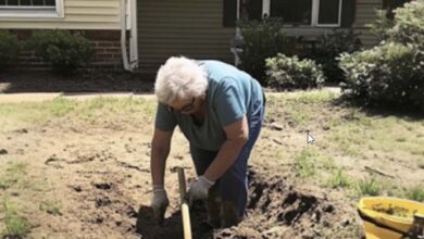 Photo of I Watched My Neighbor Collapse While Digging in Her Yard — When I Looked Into the Hole, What I Saw Took My Breath Away