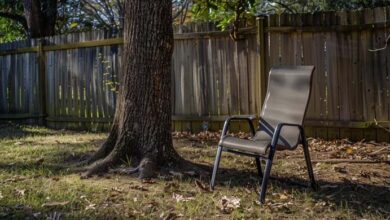 Photo of Man Gathered the Whole Family for a Barbecue, but When the Guests Arrived, His Seat Was Empty With a Letter on It — Story of the Day