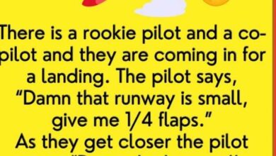 Photo of Funny Joke ‣ The Rookie Pilot