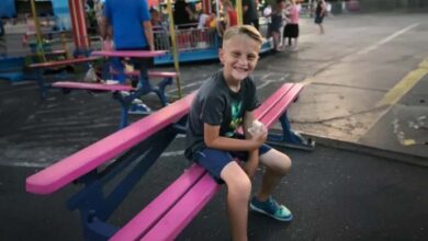 Photo of My Little Son Vanished at the Carnival – We Found Him the Next Day, Stunned by His Truth