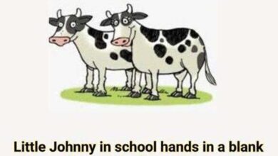 Photo of Little Johnny In School Hands In A Blank Piece Of Paper.