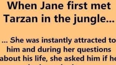 Photo of When Jane first met Tarzan in the jungle – – – – – Joke