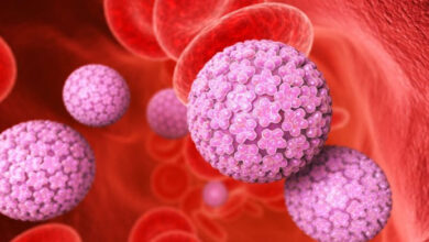 Photo of ST1. What is HPV? Symptoms, Prevention, and Why Vaccination Matters