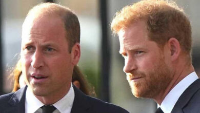 Photo of HARRY AND WILLIAM ROCKED BY SHOCK FAMILY DEATH