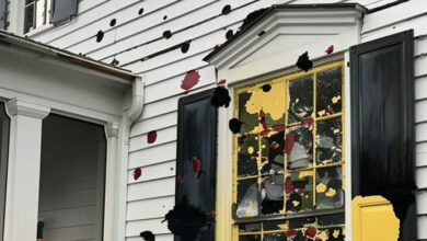 Photo of My Neighbor Totally Ruined My Windows with Paint after I Refused to Pay $2,000 for Her Dog’s Treatment