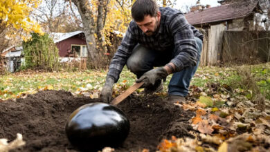 Photo of I Returned Early to Surprise My Husband Only to Find Him Burying a Large Black Egg in Our Garden