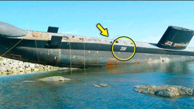 Photo of The Rediscovery of the USS Grayback: A Submarine Lost to Time