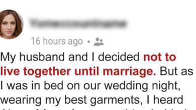 Photo of The Wedding Night Revelation