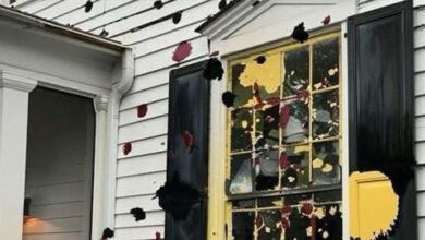 Photo of Neighbor Totally Ruined My Windows