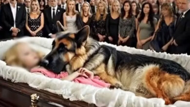Photo of She Was Buried with Her Dog