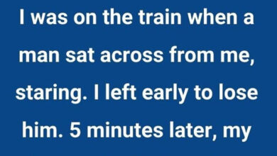 Photo of 10+ True Stories That Could Be on