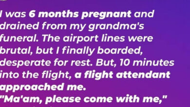 Photo of Flight Attendant