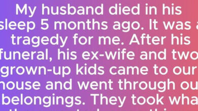 Photo of My Husband’s Ex Wanted to Make Me Homeless