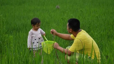 Photo of The story of a father digging a grave for