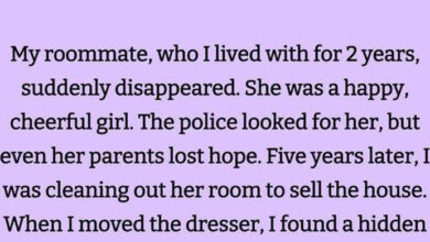 Photo of Roommate Stories That Could Be