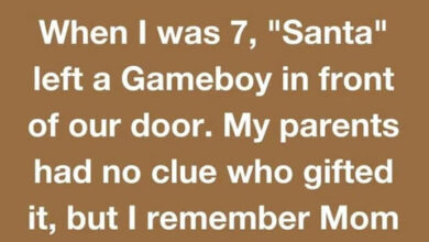 Photo of 12 Family Secrets That Belong