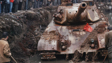 Photo of People Found a Tank in the Forest. When They Opened the Hatch