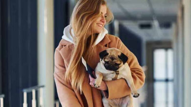 Photo of Entitled Dog Owner Made the Airport