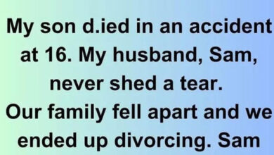 Photo of 11 Family Secrets That Read Like a