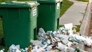 Photo of Neighbor Kept Knocking Over My Trash Bins