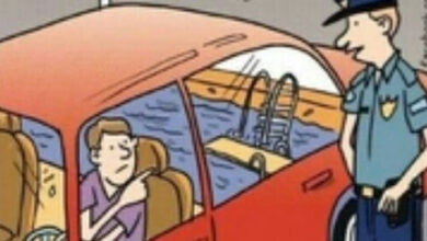 Photo of 10 Outrageous Encounters: Hilarious Jokes