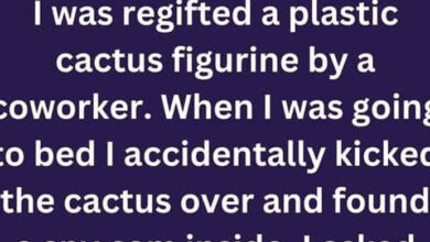 Photo of Regifted Cactus Reveals