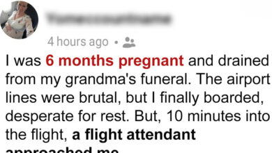 Photo of Flight Attendant Forced Me to Kneel on the Plane
