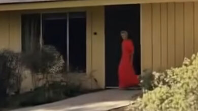 Photo of My Wife Disappeared for Hours After Dinner